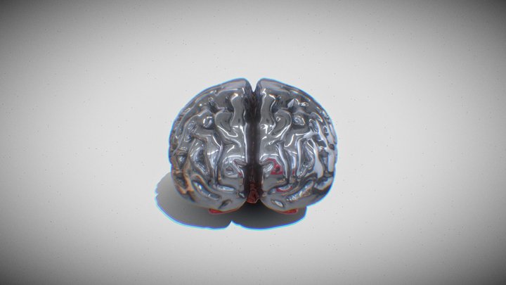 hypothalamus brain 3D Model