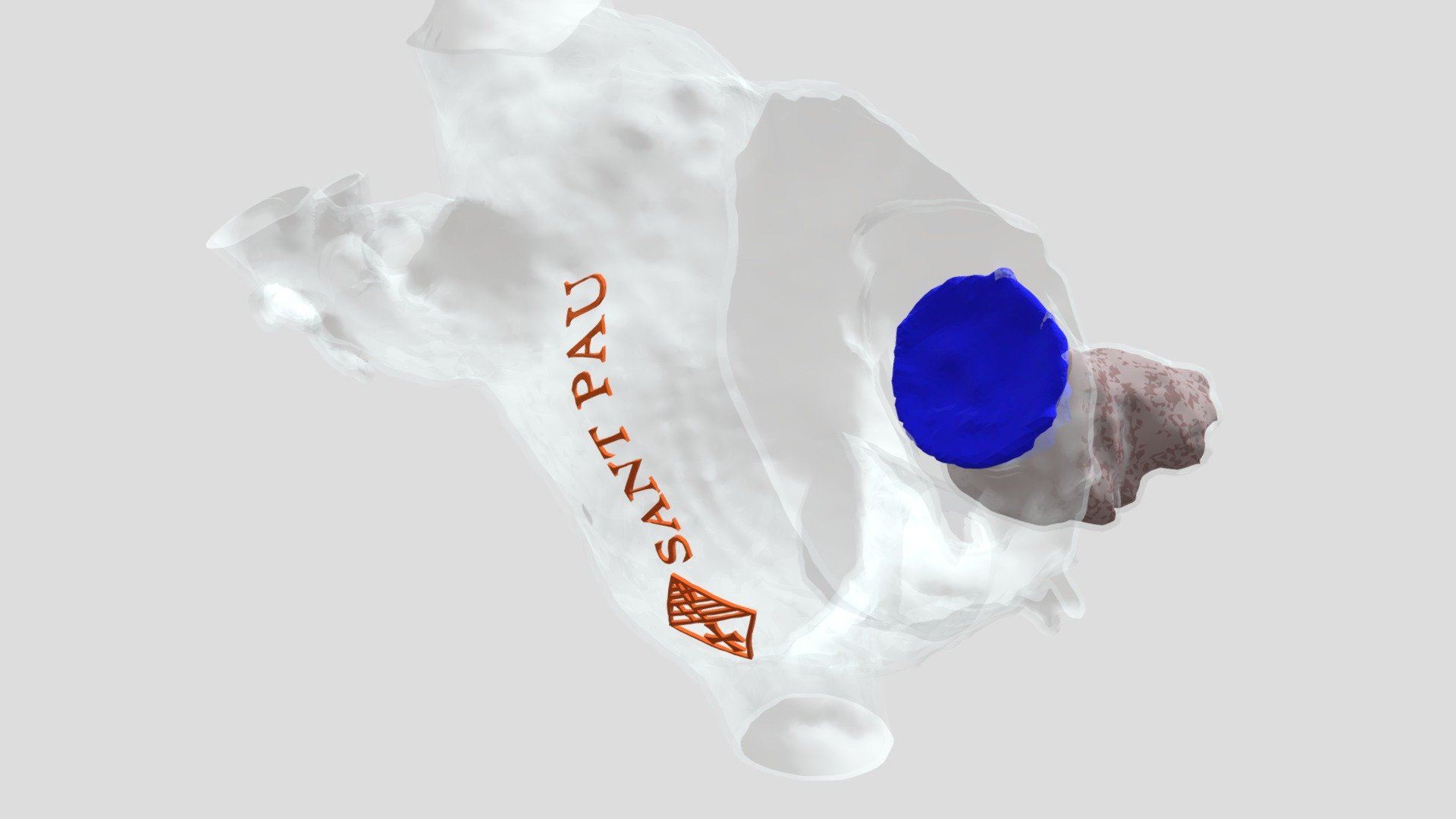 Left atrial appendage closure device