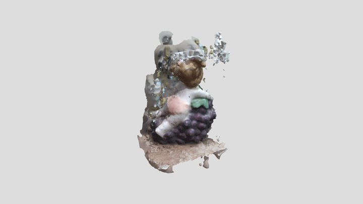 Aakriti Scan 3D Model