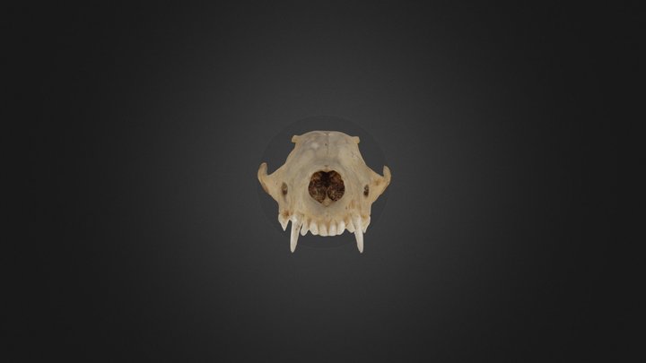 Ч11 3D Model