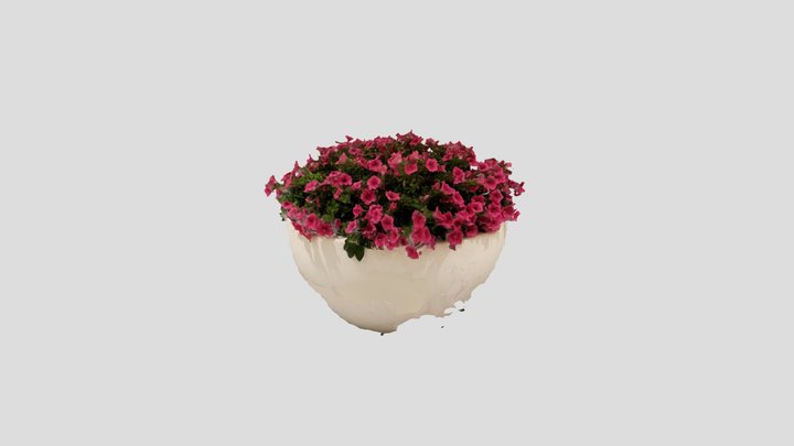 Plant pot 3D Model
