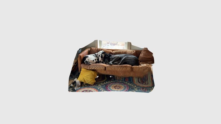sleepydanes 3D Model