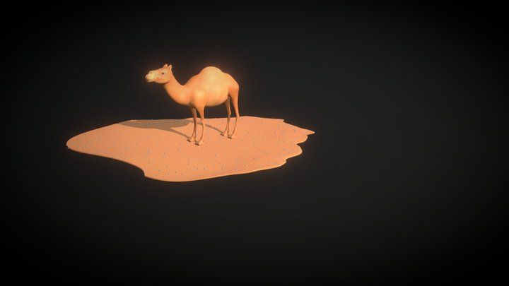Dromadaire 3D Model