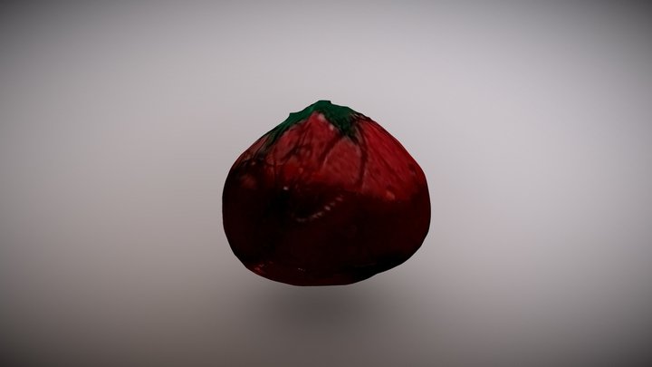 Pin Cushion 3D Model