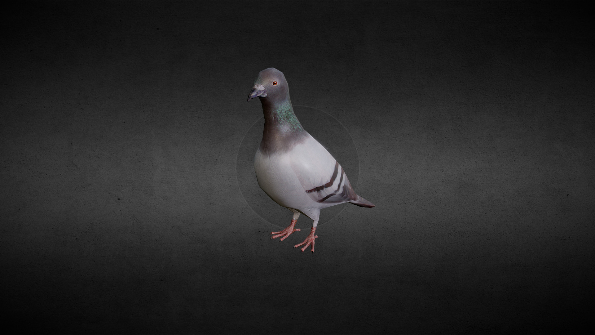 3D model Paloma LP - This is a 3D model of the Paloma LP. The 3D model is about a bird standing on a surface.