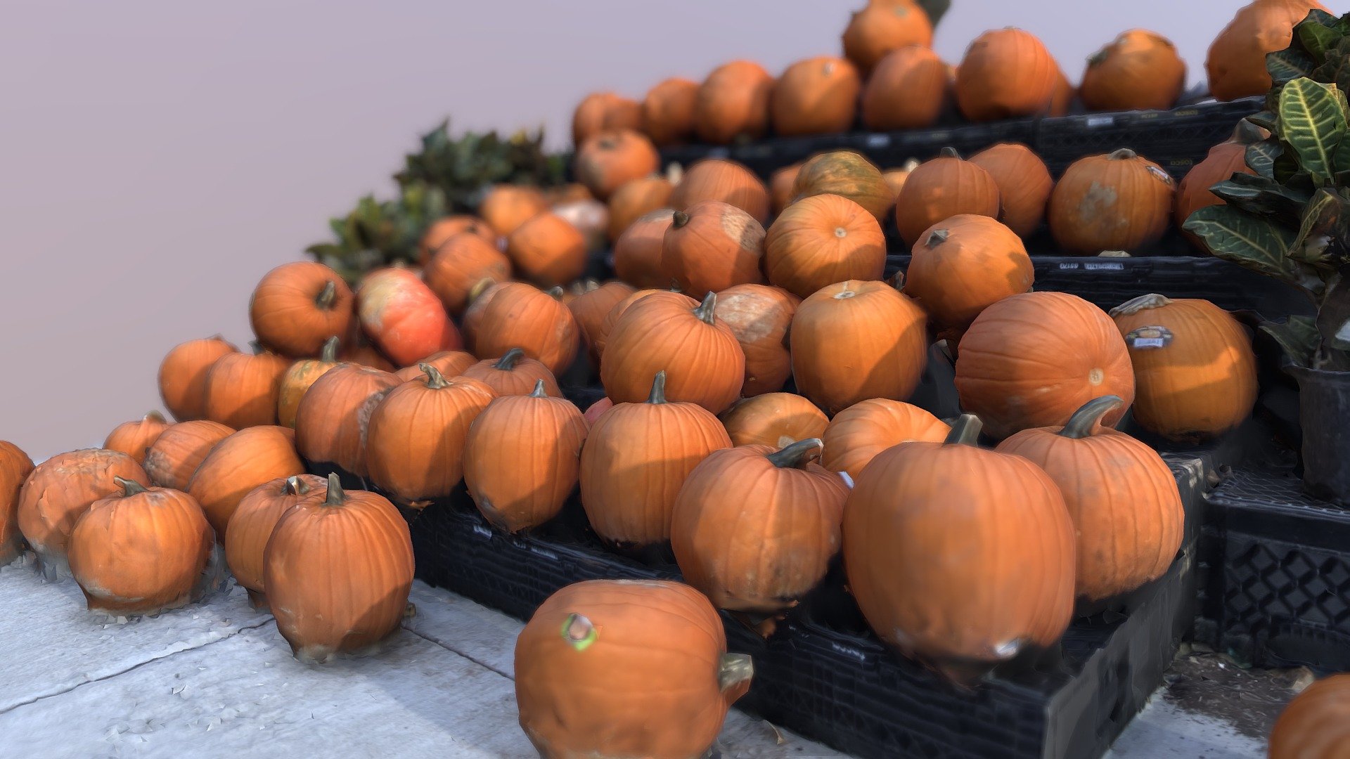 Pumpkin Stand (photogrammetry)