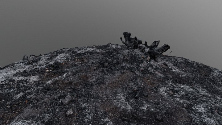 Scorched earth 3D Model