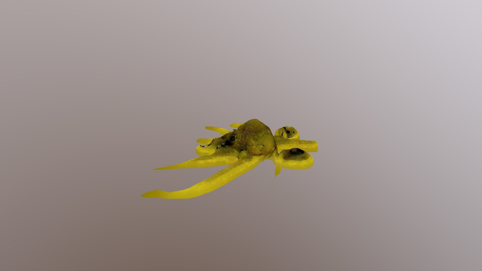 Lanc-BellaThornburg