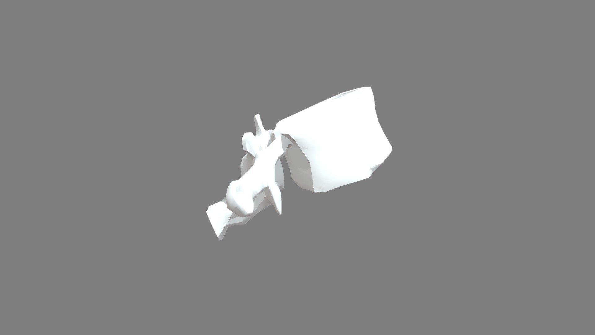Lumbar Vertebra