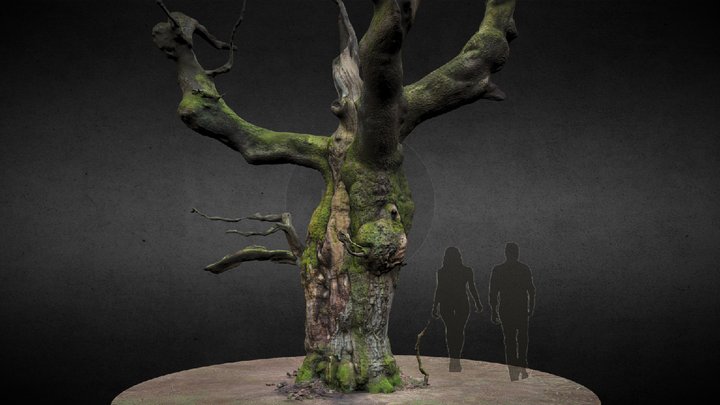 Oak Tree - Savernake forest – Gratis 3D-model STL