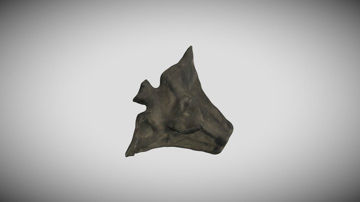 Hishinomi 3D Model