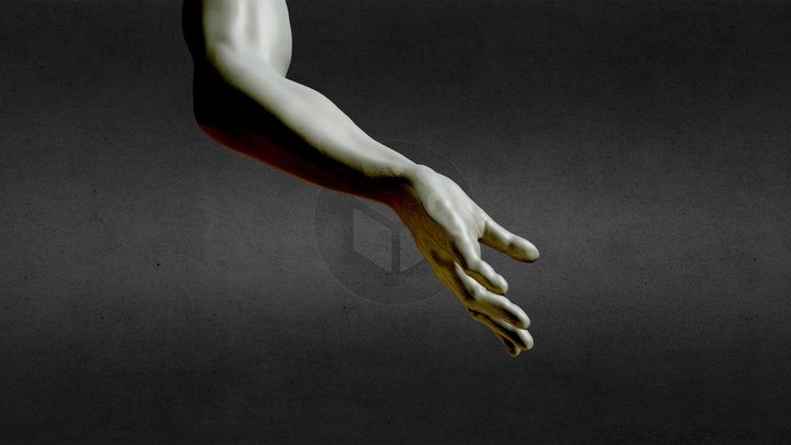 Arm & Hand sculpting 3D Model