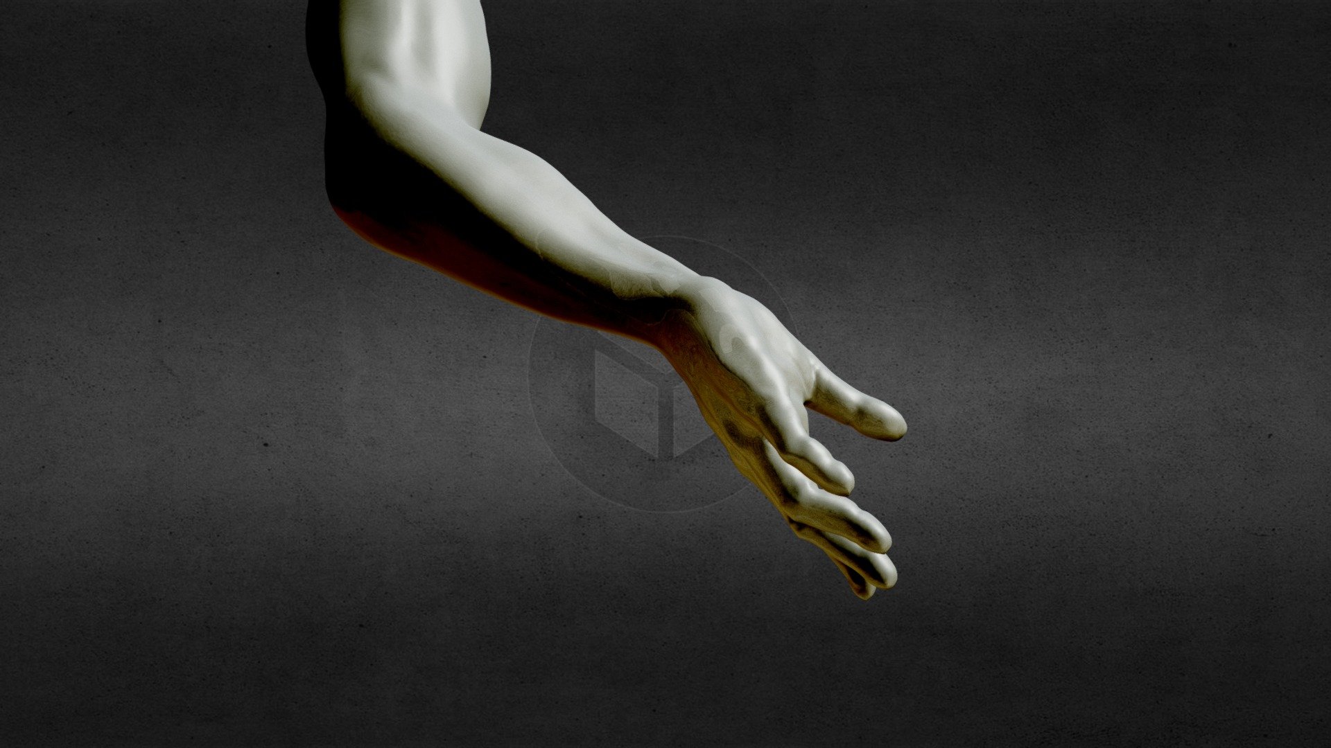 Arm & Hand sculpting