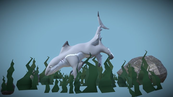 Reef Shark Puppy 3D Model