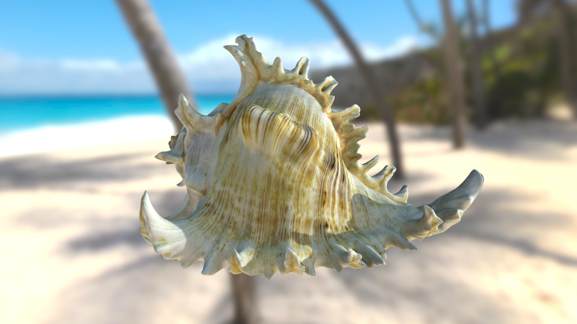 3D model Sea Shell - This is a 3D model of the Sea Shell. The 3D model is about a close up of a sea animal.