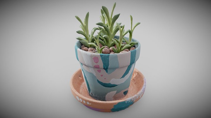 Potted Succulent 3D Model