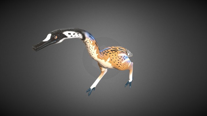 Ostrich Gator 3D Model