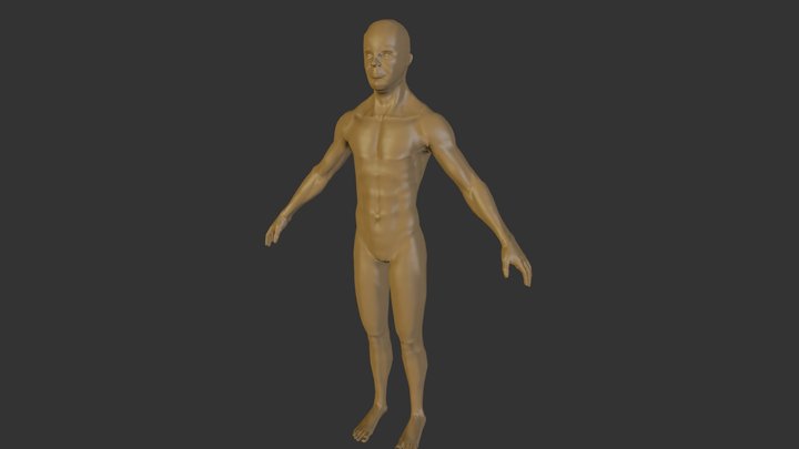 Male sculpt 3D Model