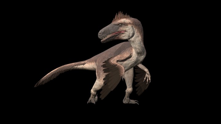Achillobator | Dinosaur 3D Model