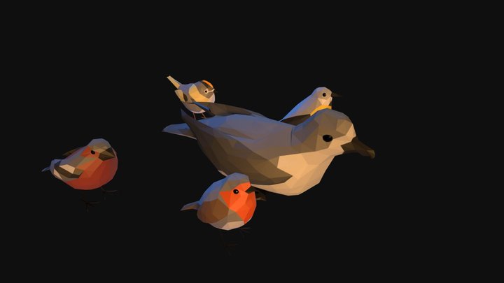 All Birds BAKED V02 3D Model