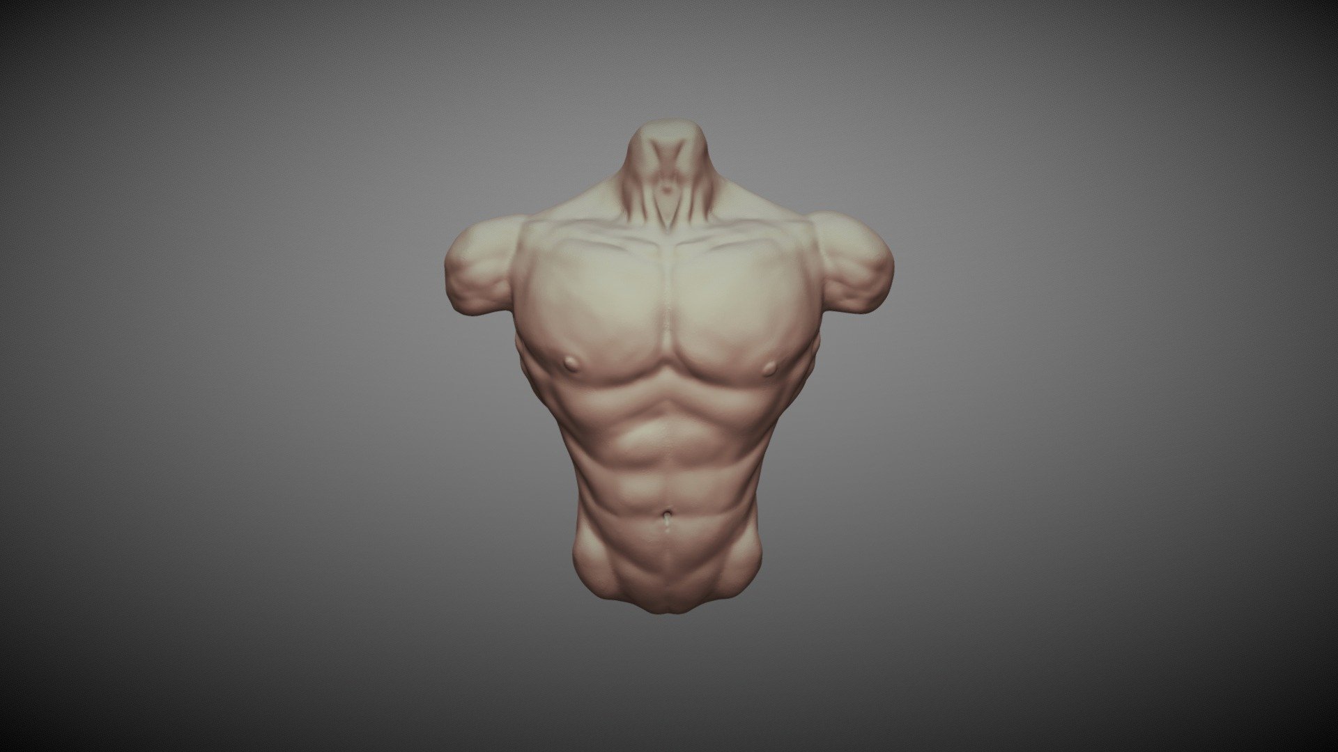 Torso Study - Download Free 3D model by Ulas_Yildiz (@neutrino34 ...