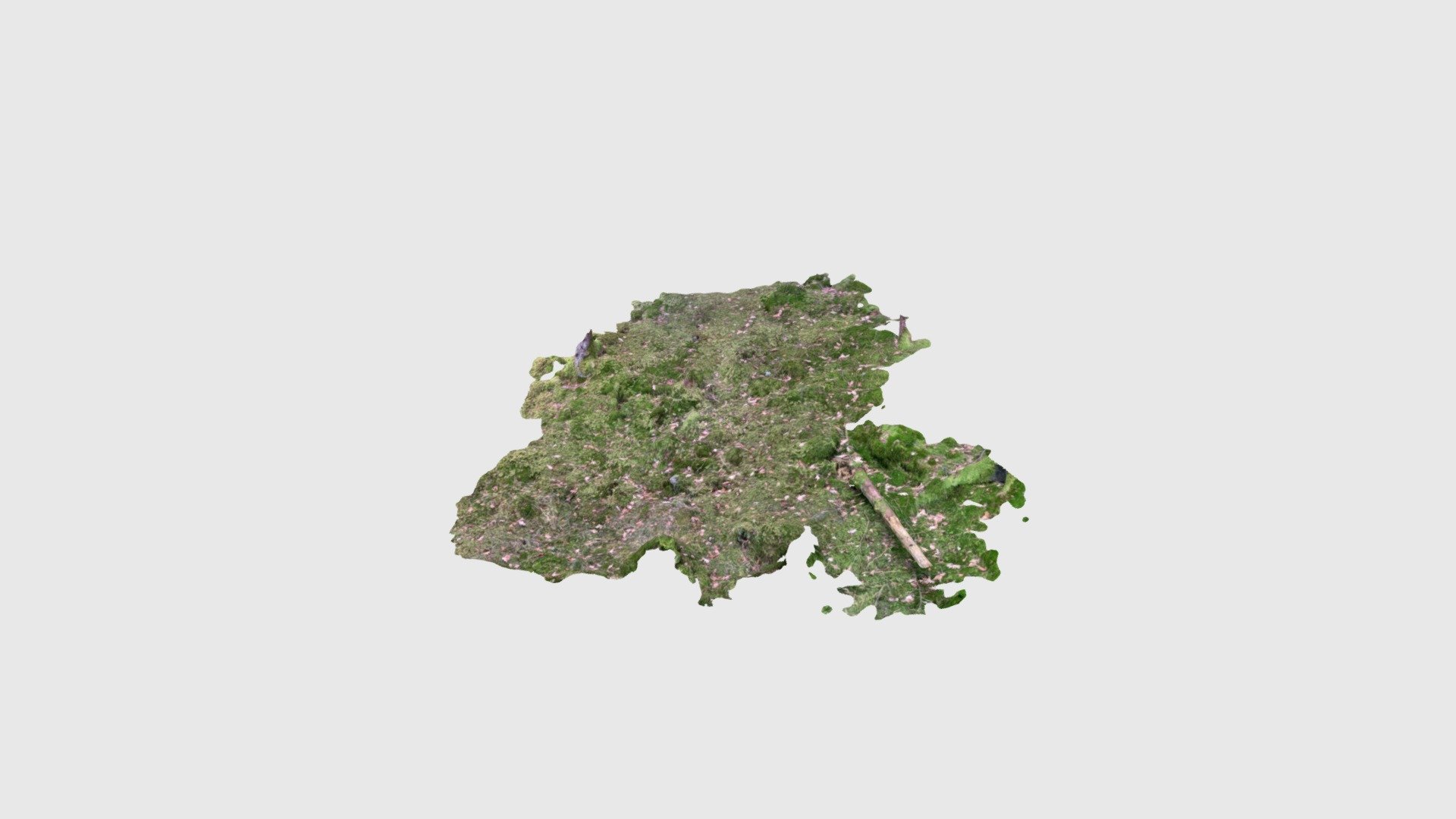 ForestfloorPatch02