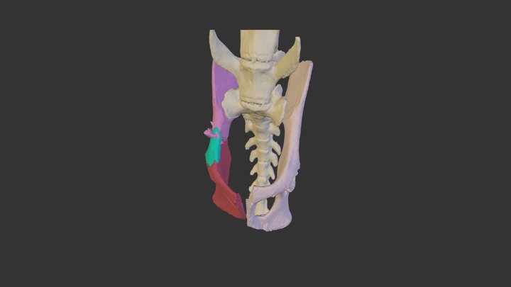 Mochi 3D Model