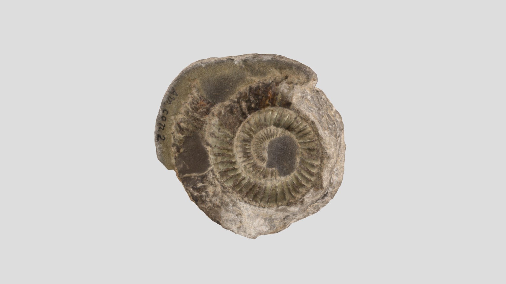GSCI 361 Sample 1