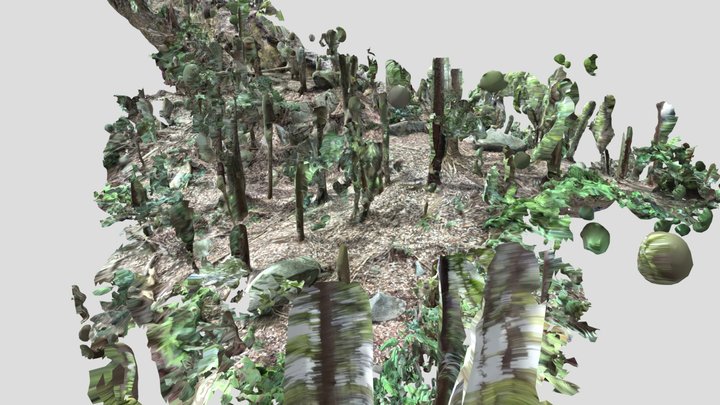 川上石丁場12番周辺の石材密集地 3D Model