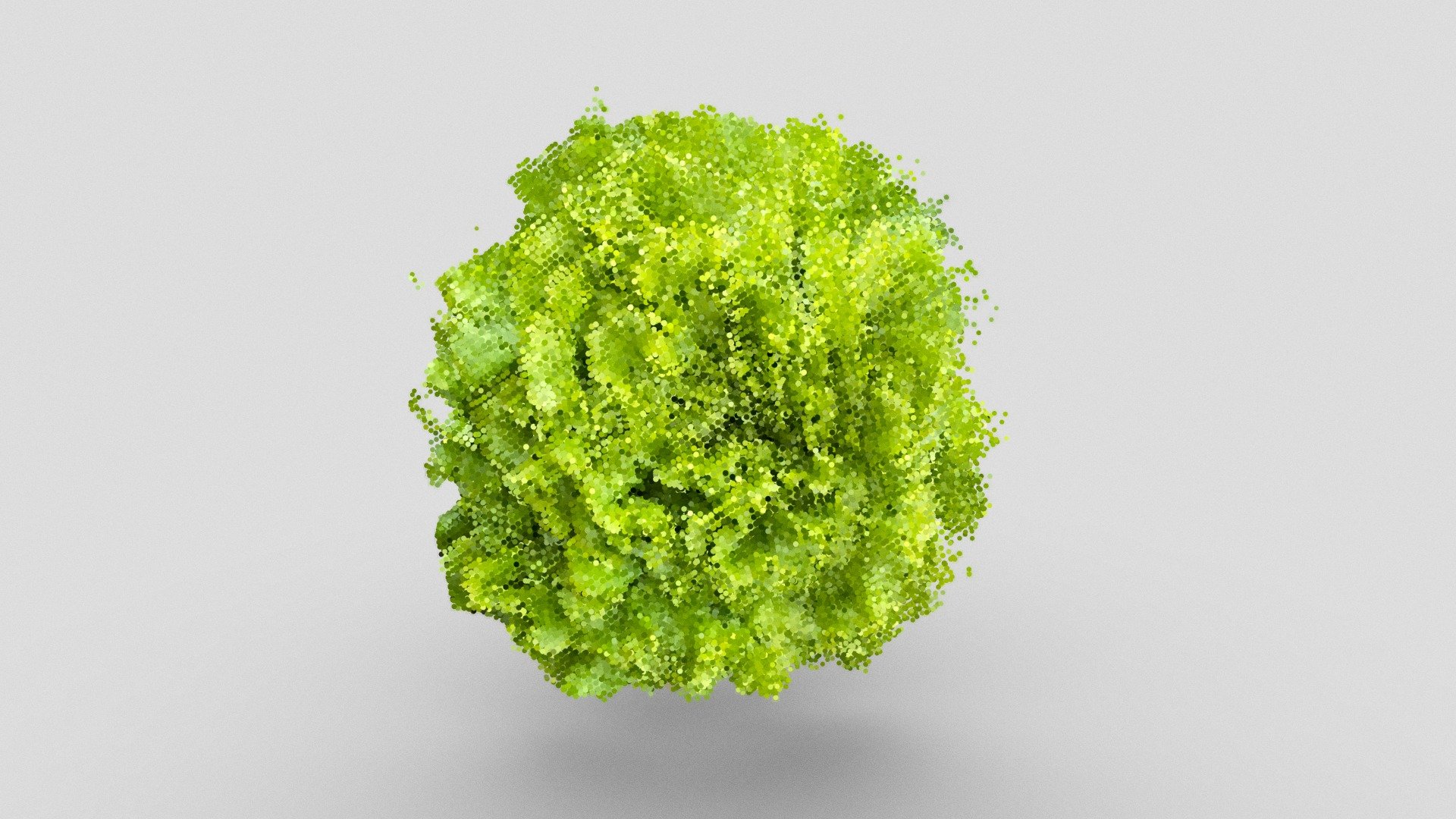 Day 277: Salad