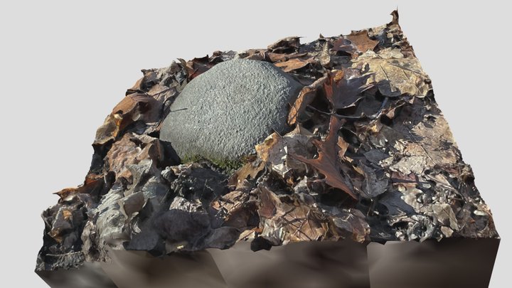 Cool Rock RealityCapture 3D Model