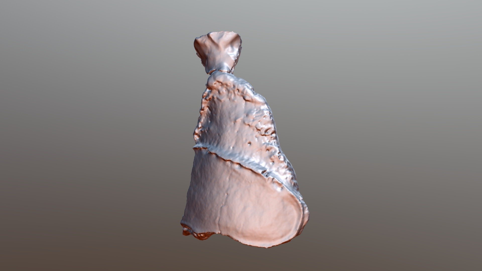 Giant Ground Sloth Patella VCU_3D_2417)