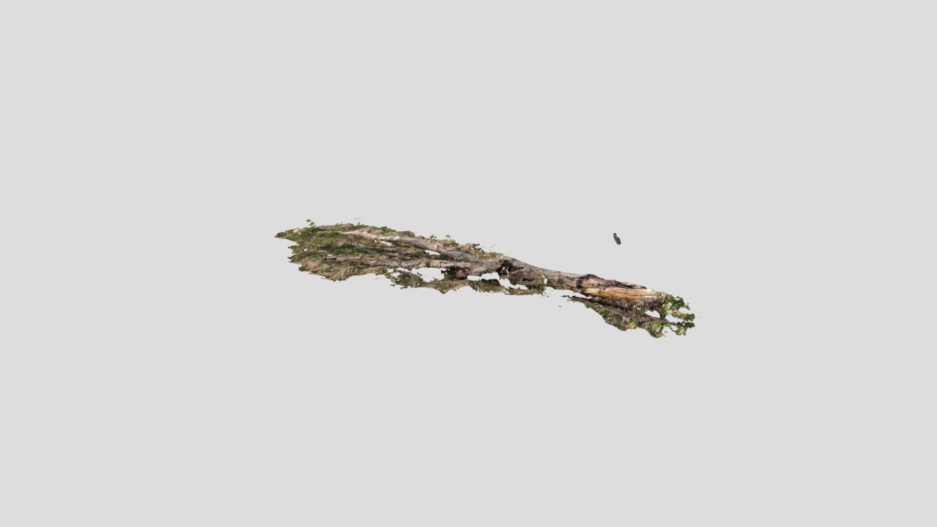 Death Tree 2