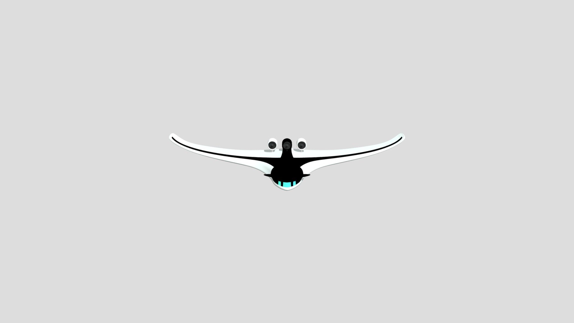 Stingray Airplane
