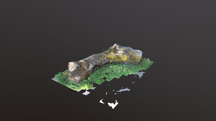 Massive Log - Photographer Cherie Gentry 3D Model
