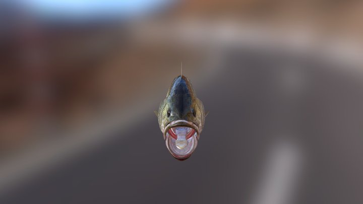 fish 1 3D Model