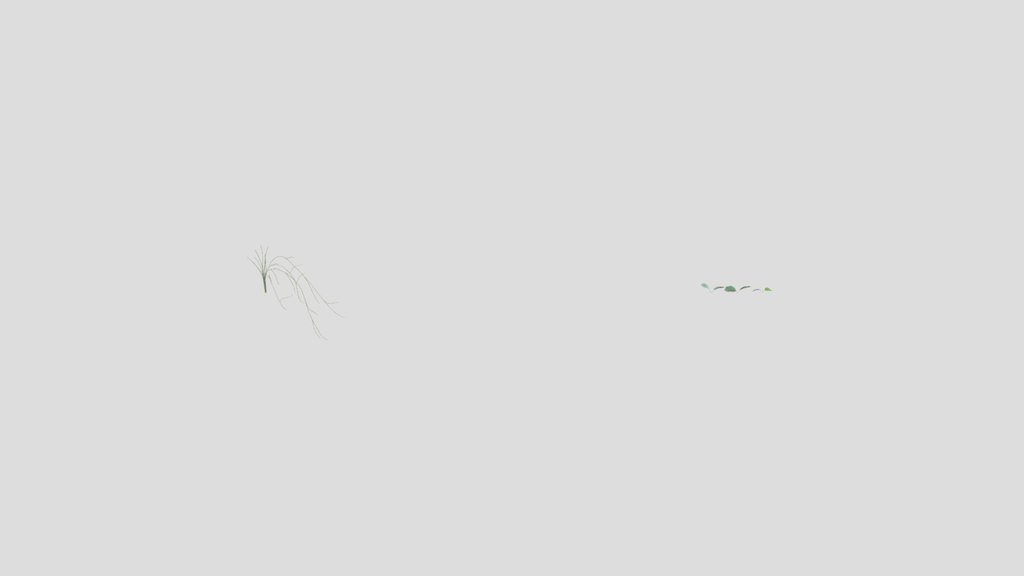 Artificial Tendril Fitonia White V2