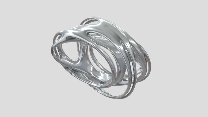 julia_ring2_quadremesh 3D Model