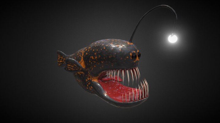 Angler Fish 3D Model