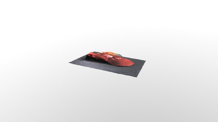 fegato 3D Model