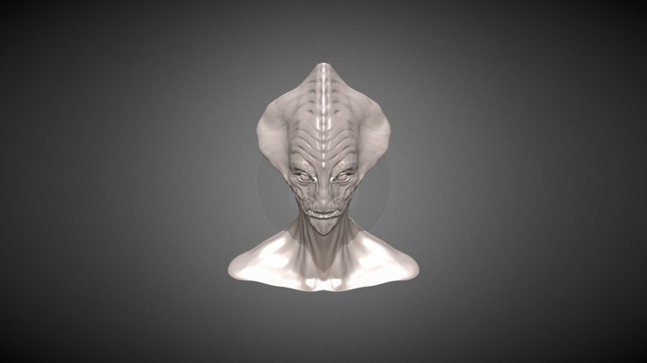 Selvian - Digital Sculpture 3D Model