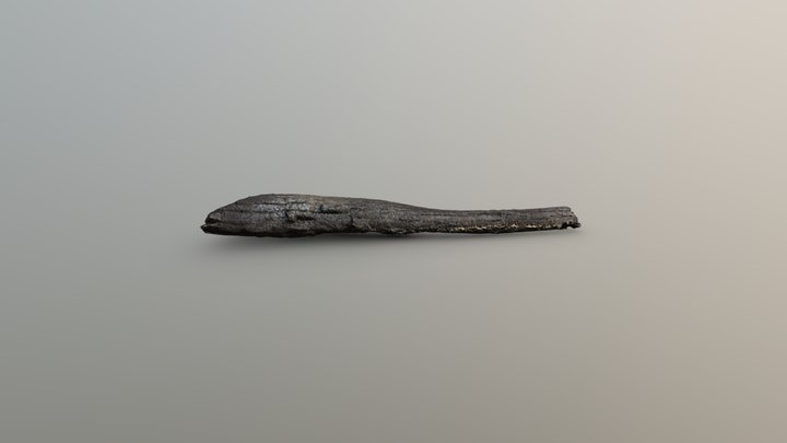 Proto-Villanovan wooden paddle 3D Model