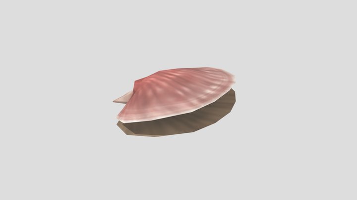 Baking_scallop 3D Model