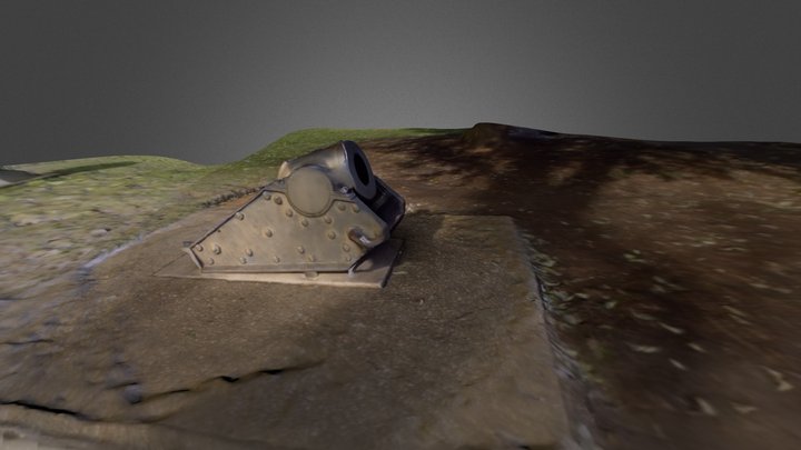 Cannon Walkaround 3D Model