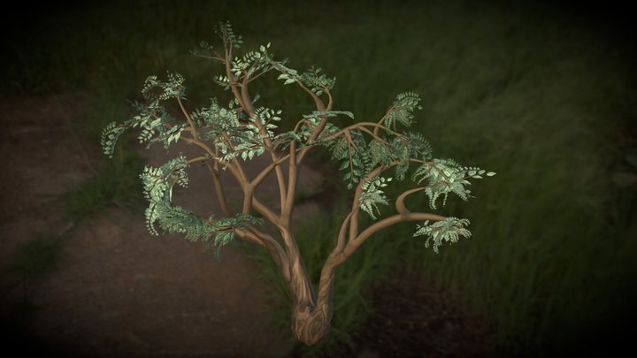 A branching green deciduous tree. 3D Model