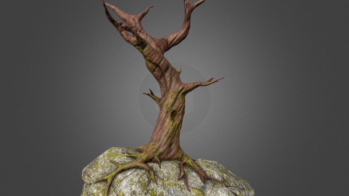 Hero Tree Rock 3D Model