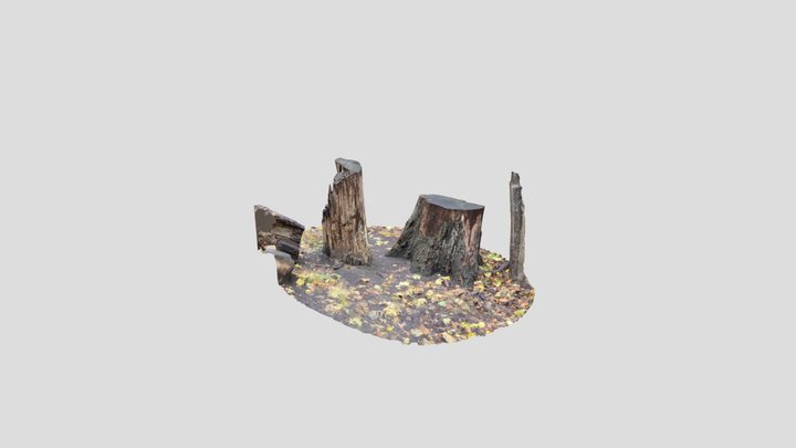 Ravine 2 stumps 3D Model