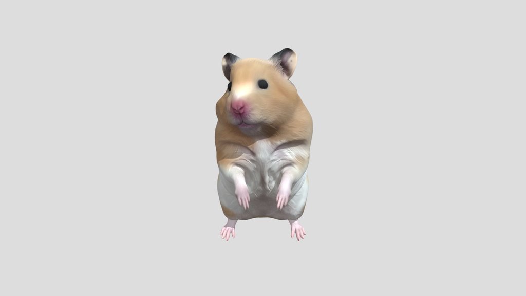hamster