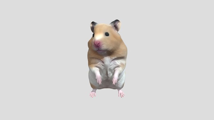 hamster 3D Model