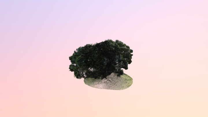 榕樹(B07) 3D Model